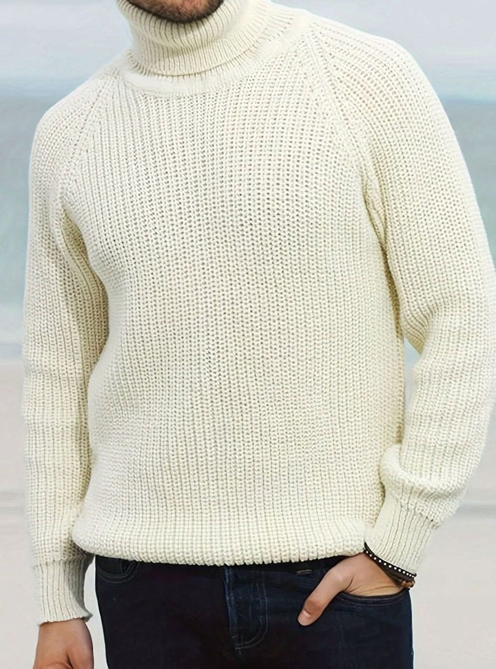 Men's Ribbed Knit Turtleneck Sweater