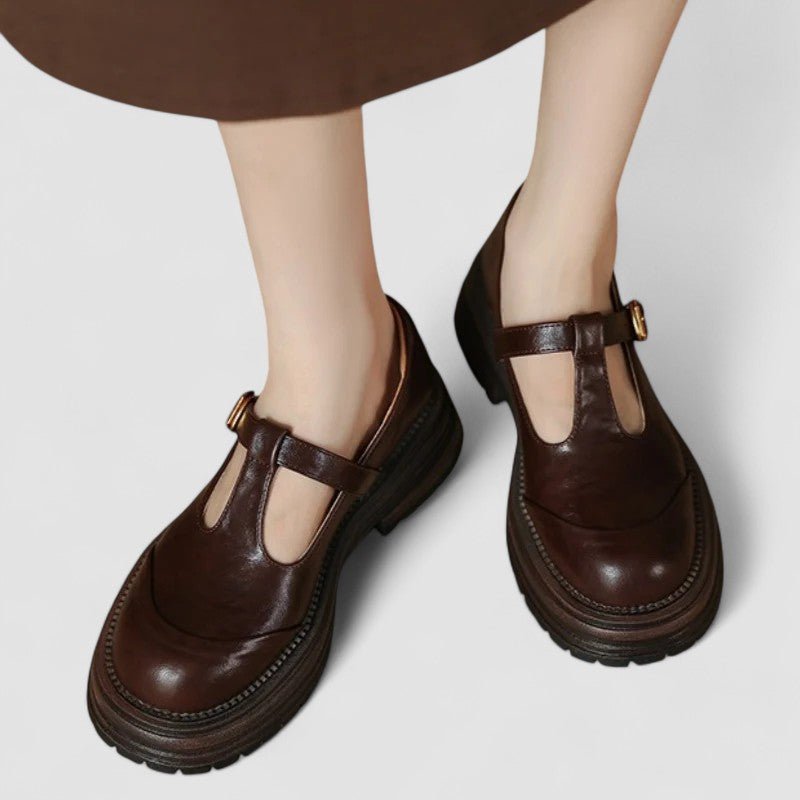 Women's Retro Chunky Platform T-Bar Mary Jane Shoes - Brown
