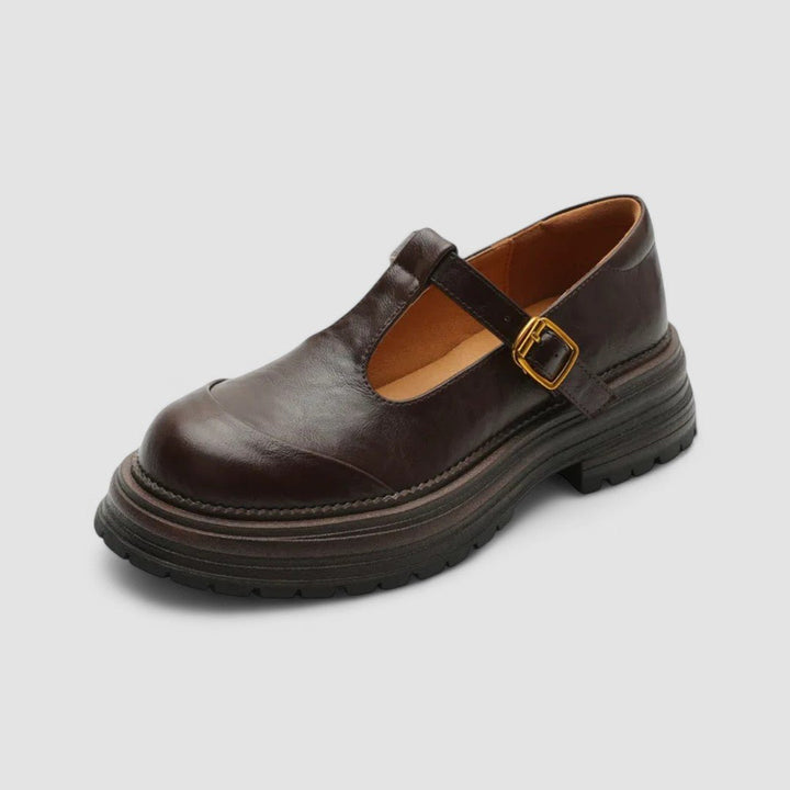Women's Retro Chunky Platform T-Bar Mary Jane Shoes