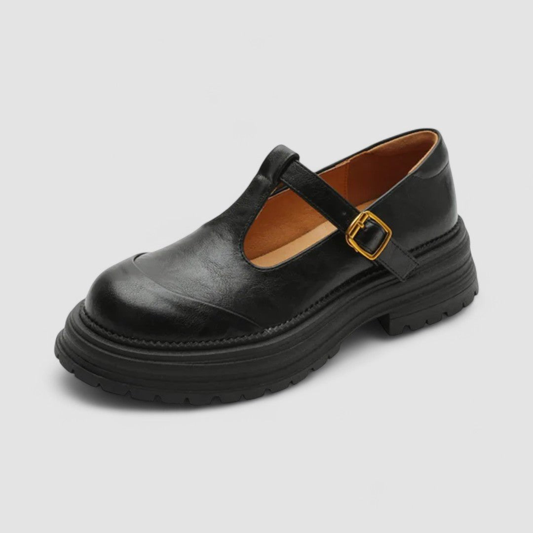 Women's Retro Chunky Platform T-Bar Mary Jane Shoes